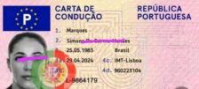 comprar carta de condução